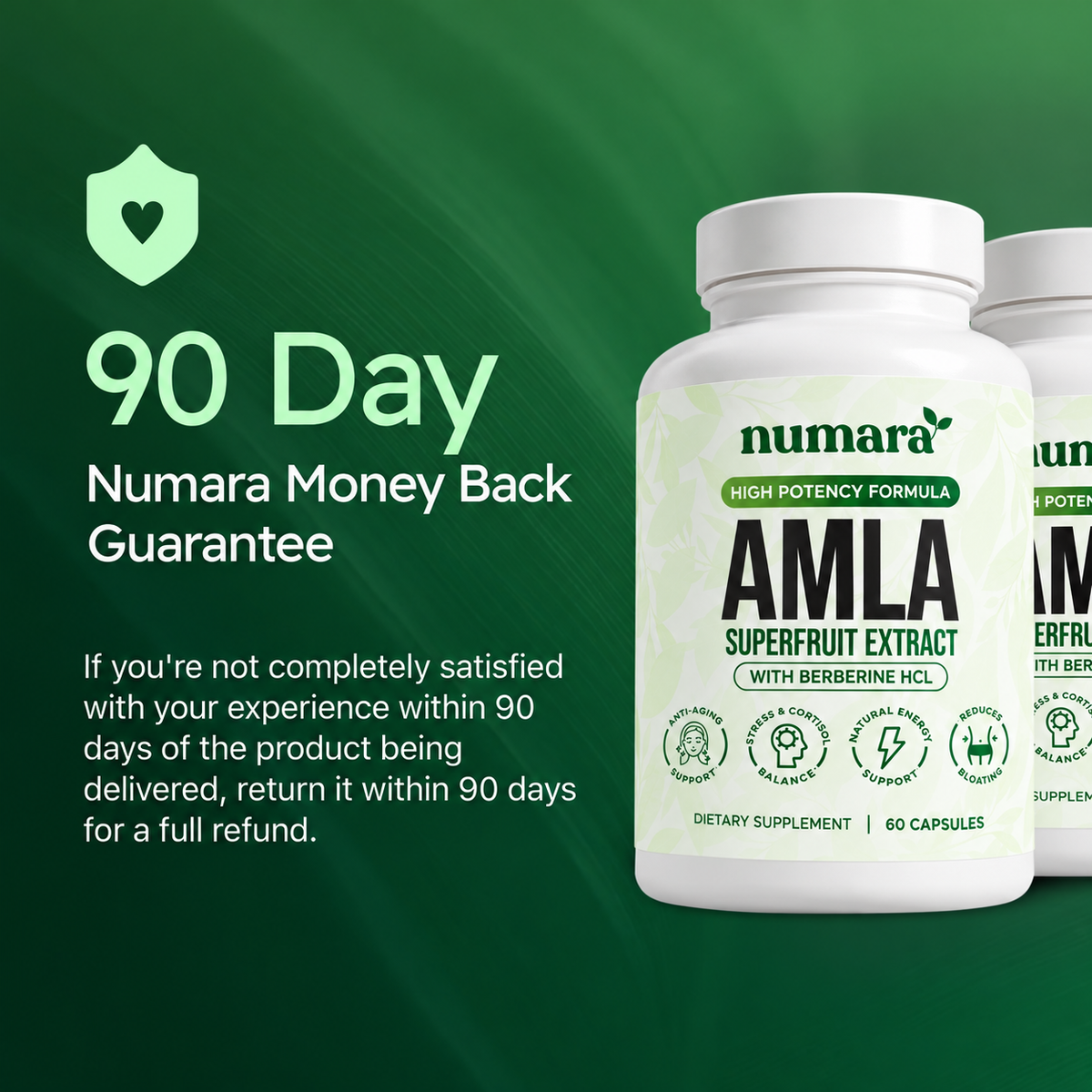 Amla Superfruit Extract