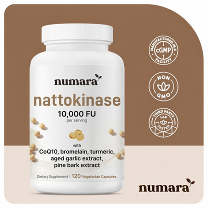 Max Potency Nattokinase 10,000 FU - Circulation Support