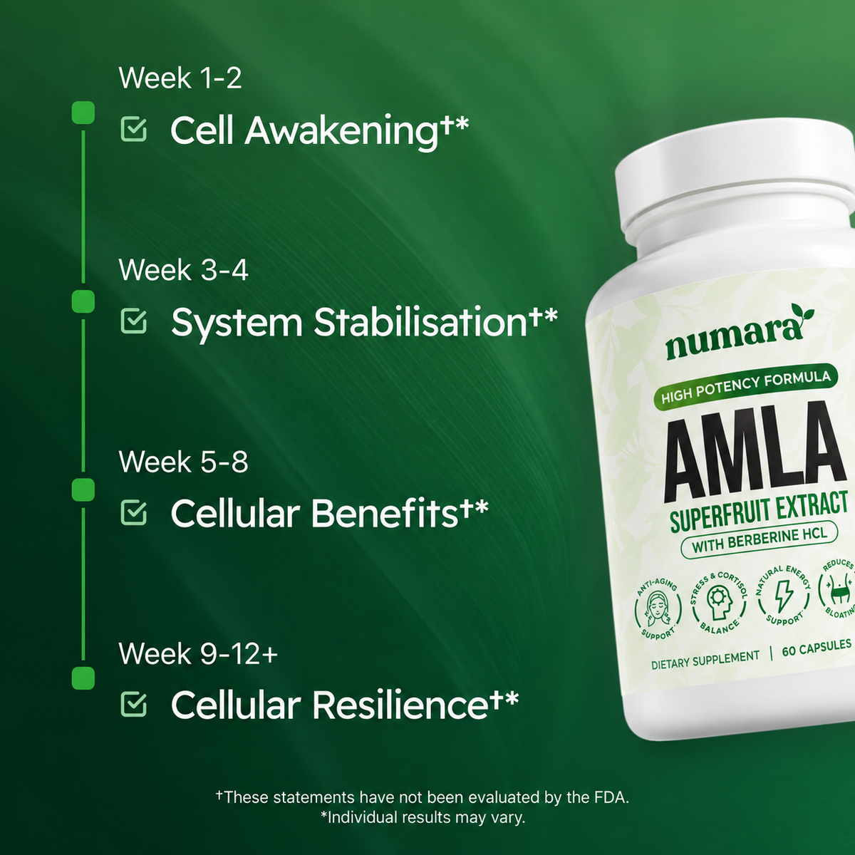Amla Superfruit Extract