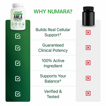 Amla Superfruit Extract