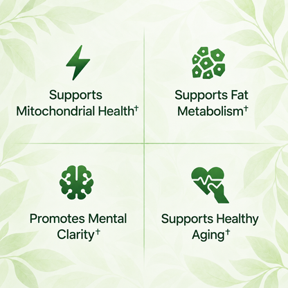 Amla Superfruit Extract