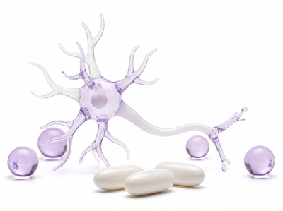 Healthy Nerve Function